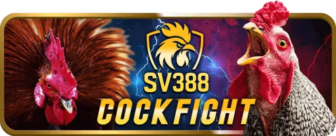 Chương trình VIP độc quyền VN69